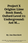 Project X Origins: Lime Book Band, Oxford Level 11: Underground: Ant Meets the Queen (UK)