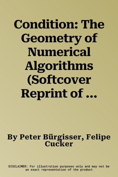 Condition: The Geometry of Numerical Algorithms (Softcover Reprint of the Original 1st 2013)