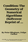 Condition: The Geometry of Numerical Algorithms (Softcover Reprint of the Original 1st 2013)