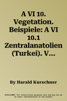 A VI 10. Vegetation. Beispiele: A VI 10.1 Zentralanatolien (Turkei). Vegetation Am Tuz Golu. 1: 300.000. a VI 10.2 Maharlu-Becken Bei Shiraz/Siraz (Ir