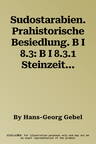 Sudostarabien. Prahistorische Besiedlung. B I 8.3: B I 8.3.1 Steinzeit Der Omanischen Halbinsel. B I 8.3.2. Fruhbronzezeit Der Omanischen Halbinsel. 1