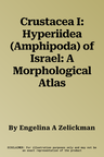 Crustacea I: Hyperiidea (Amphipoda) of Israel: A Morphological Atlas