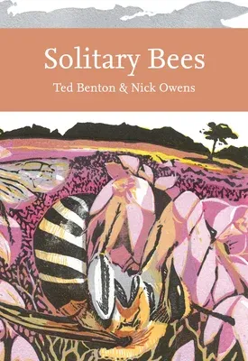 Solitary Bees