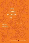 The Space Between Us