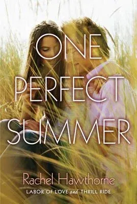 One Perfect Summer: Labor of Love and Thrill Ride