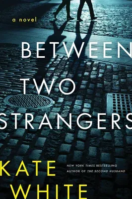 Between Two Strangers: A Novel of Suspense