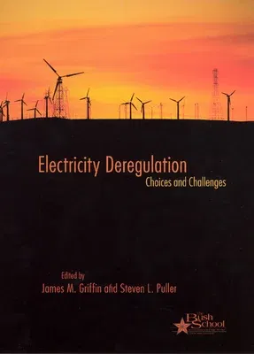 Electricity Deregulation: Choices and Challenges Volume 4