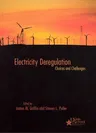 Electricity Deregulation: Choices and Challenges Volume 4