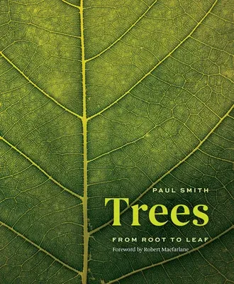 Trees: From Root to Leaf