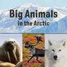 Big Animals in the Arctic: English Edition (English)