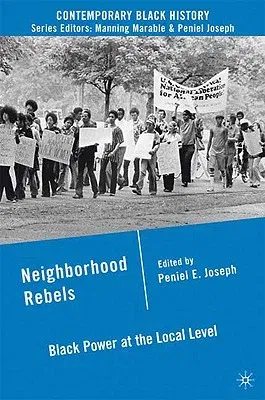 Neighborhood Rebels: Black Power at the Local Level (2010)