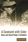 A Covenant with Color: Race and Social Power in Brooklyn (Revised)