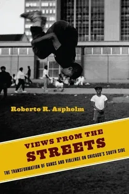 Views from the Streets: The Transformation of Gangs and Violence on Chicago's South Side