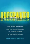 Underwater: Loss, Flood Insurance, and the Moral Economy of Climate Change in the United States