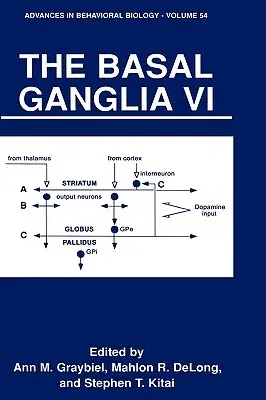 The Basal Ganglia VI (2003)