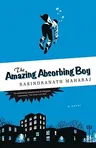 The Amazing Absorbing Boy