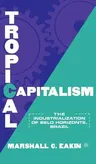 Tropical Capitalism: The Industrialization of Belo Horizonte, Brazil, 1897-1997 (2002)