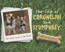 The Life of Corgnelius and Stumphrey: The Cutest Corgis in the World (Original)