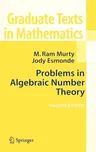 Problems in Algebraic Number Theory