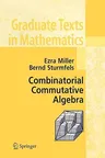 Combinatorial Commutative Algebra (2005)