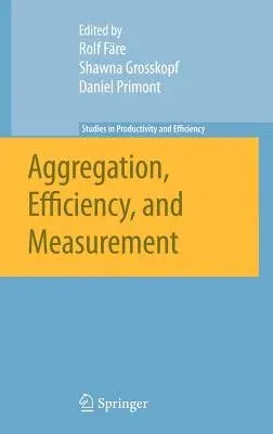 Aggregation, Efficiency, and Measurement (2007)