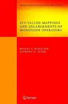 Set-Valued Mappings and Enlargements of Monotone Operators (2008)