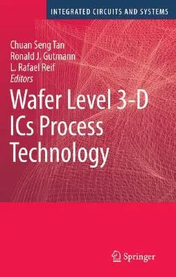 Wafer Level 3-D ICS Process Technology (2009)