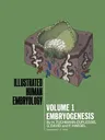 Embryogenesis (Corrected 1971)