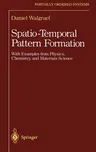 Spatio-Temporal Pattern Formation: With Examples from Physics, Chemistry, and Materials Science (1997)