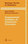 Exponential Families of Stochastic Processes (1997)