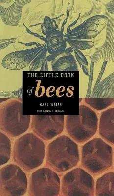 The Little Book of Bees (2002)