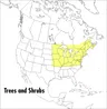 A Field Guide to Trees and Shrubs: Northeastern and North-Central United States and Southeastern and South-Central Canada