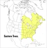 A Peterson Field Guide to Eastern Trees: Eastern United States and Canada, Including the Midwest (EXPANDED)