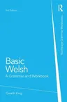 Basic Welsh: A Grammar and Workbook