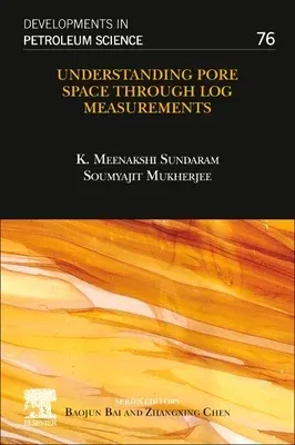 Understanding Pore Space Through Log Measurements: Volume 76