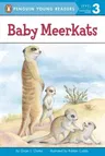 Baby Meerkats