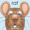 Rat