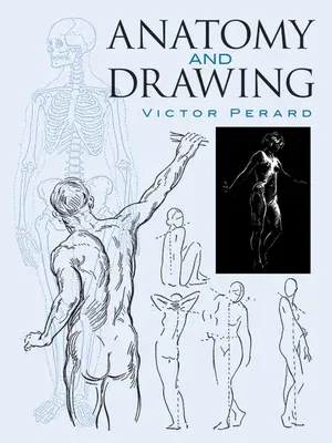 Anatomy and Drawing