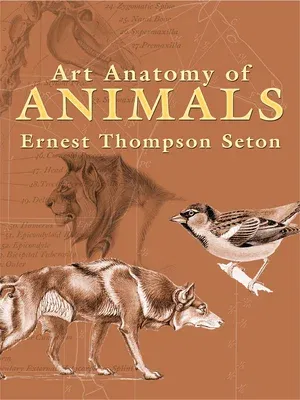 Art Anatomy of Animals