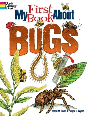 My First Book about Bugs