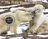 The Polar Bear Scientists