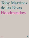 Floodmeadow