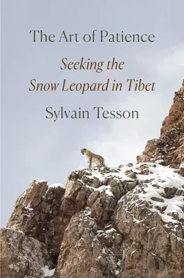 The Art of Patience: Seeking the Snow Leopard in Tibet