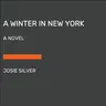 A Winter in New York