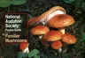 National Audubon Society Pocket Guide: Familiar Mushrooms