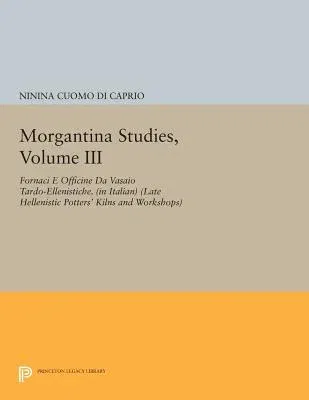 Morgantina Studies, Volume III: Fornaci E Officine Da Vasaio Tardo-Ellenistiche. (in Italian) (Late Hellenistic Potters' Kilns and Workshops)