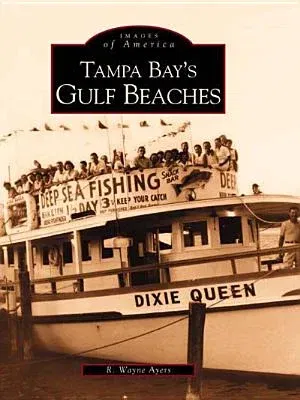 Tampa Bay's Gulf Beaches