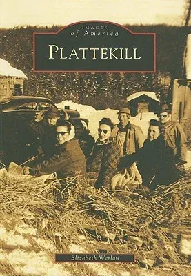 Plattekill