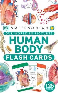 Our World in Pictures Human Body Flash Cards