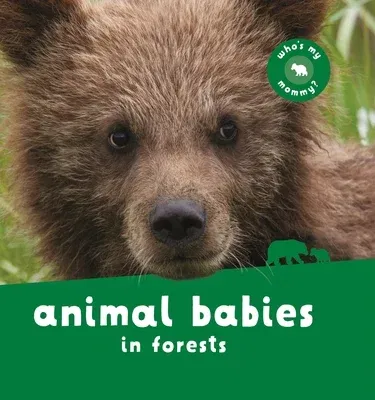 Animal Babies in Forests